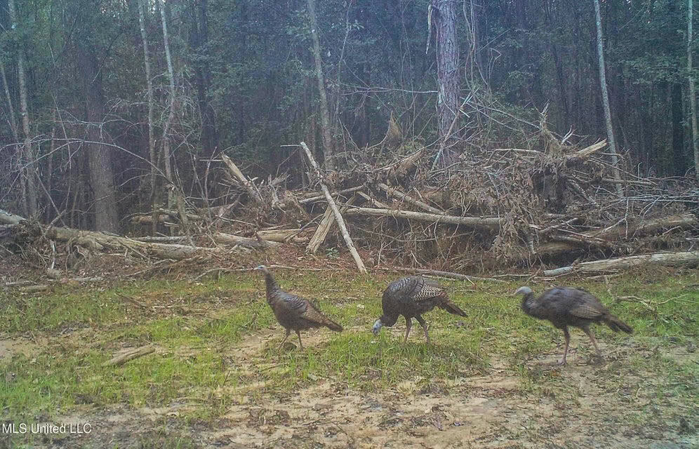 Turnkey Property in Lincoln County, MS