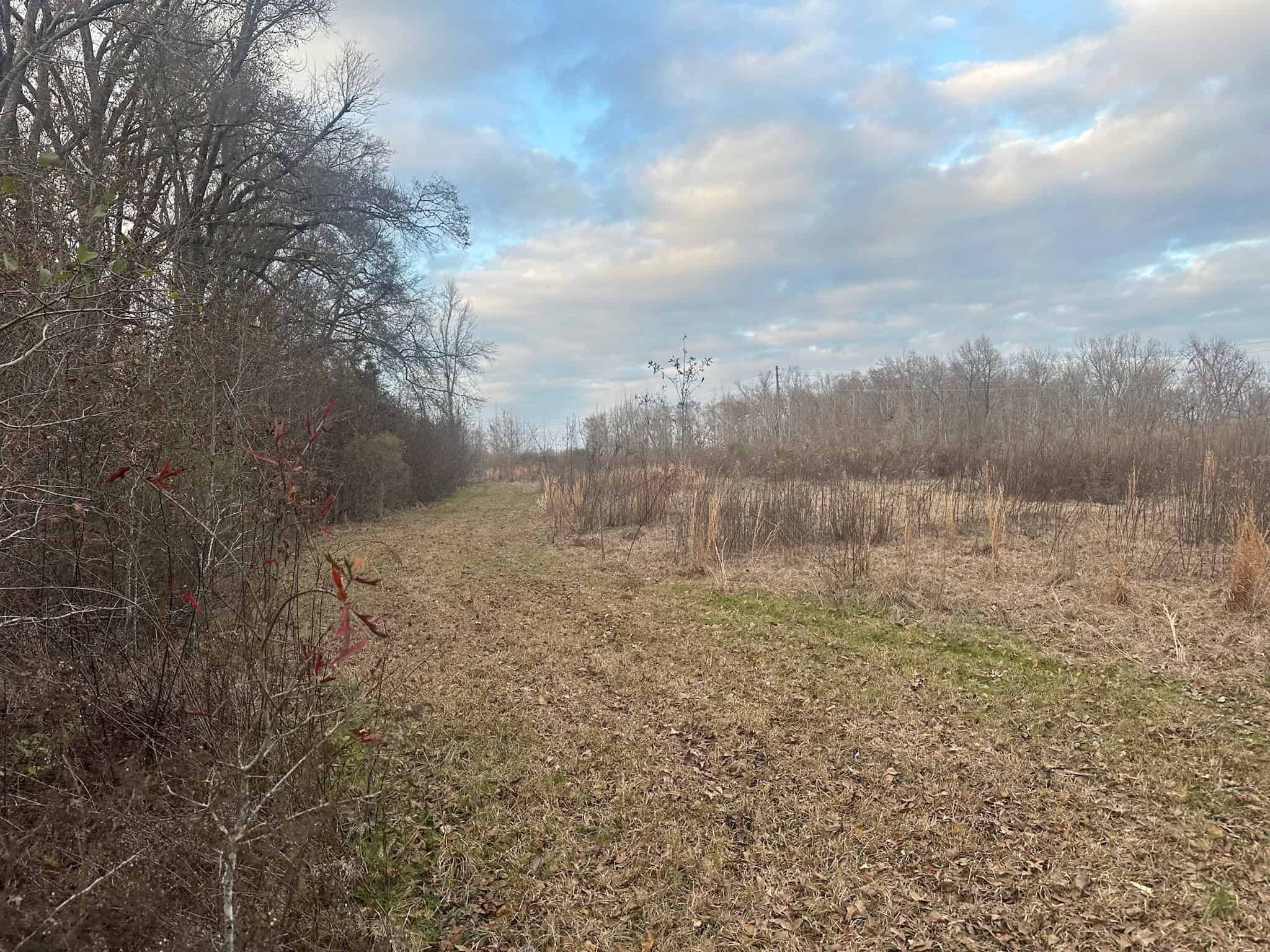 LA Delta Duck and Deer Hunting Property with a Camp
