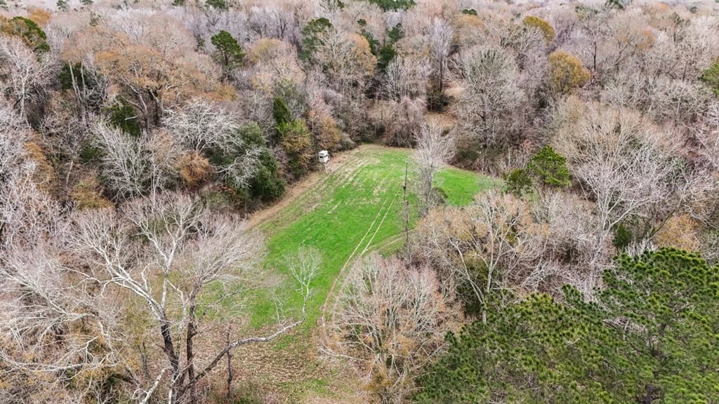 50 Acres TurnKey Hunting Camp SW Wilkinson County, MS
