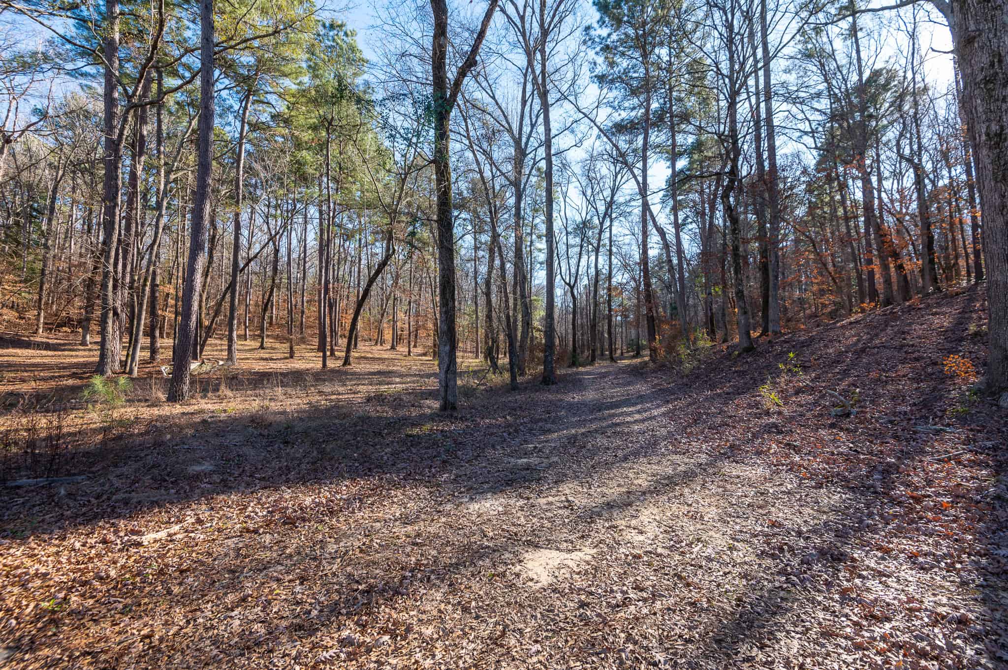 East Texas Hunting Land for sale Sabine River Frontage Gladewater TX