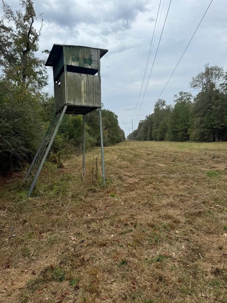 Land on the Tangipahoa River in Pike County, MS