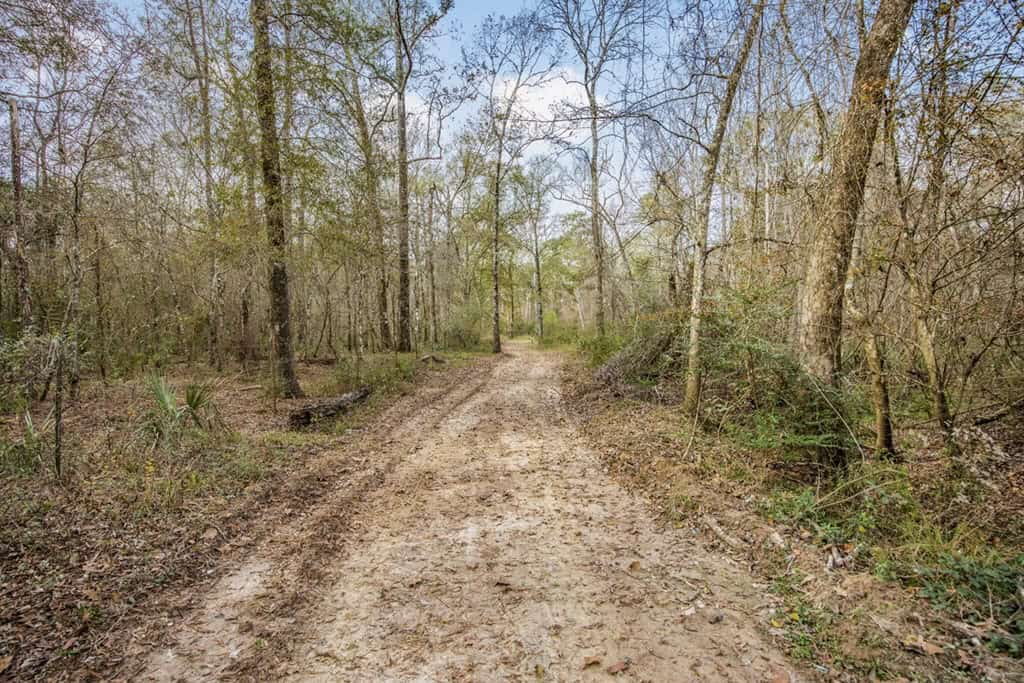 High Fence Hunting, 3 Lodges, 6 Cabins, Acadia Parish, LA