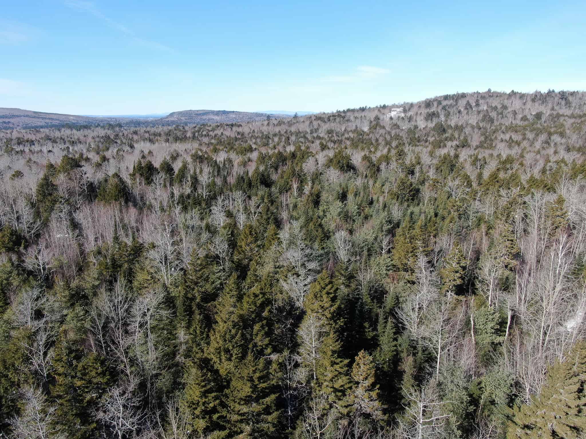 32 Acres with Off-Grid Cabin