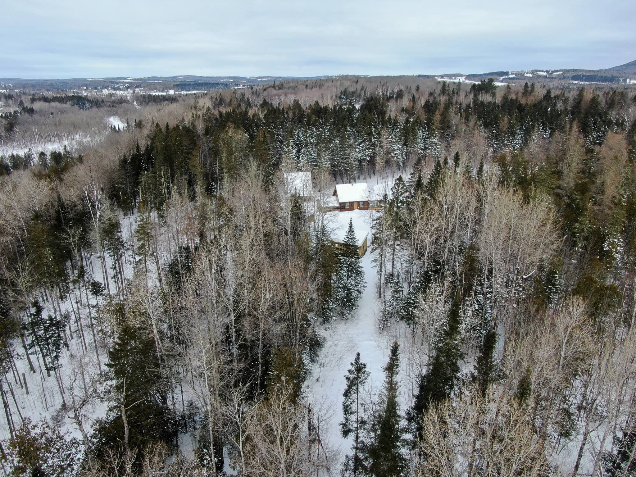 Log Cabin 40 Acres with Trout Stream