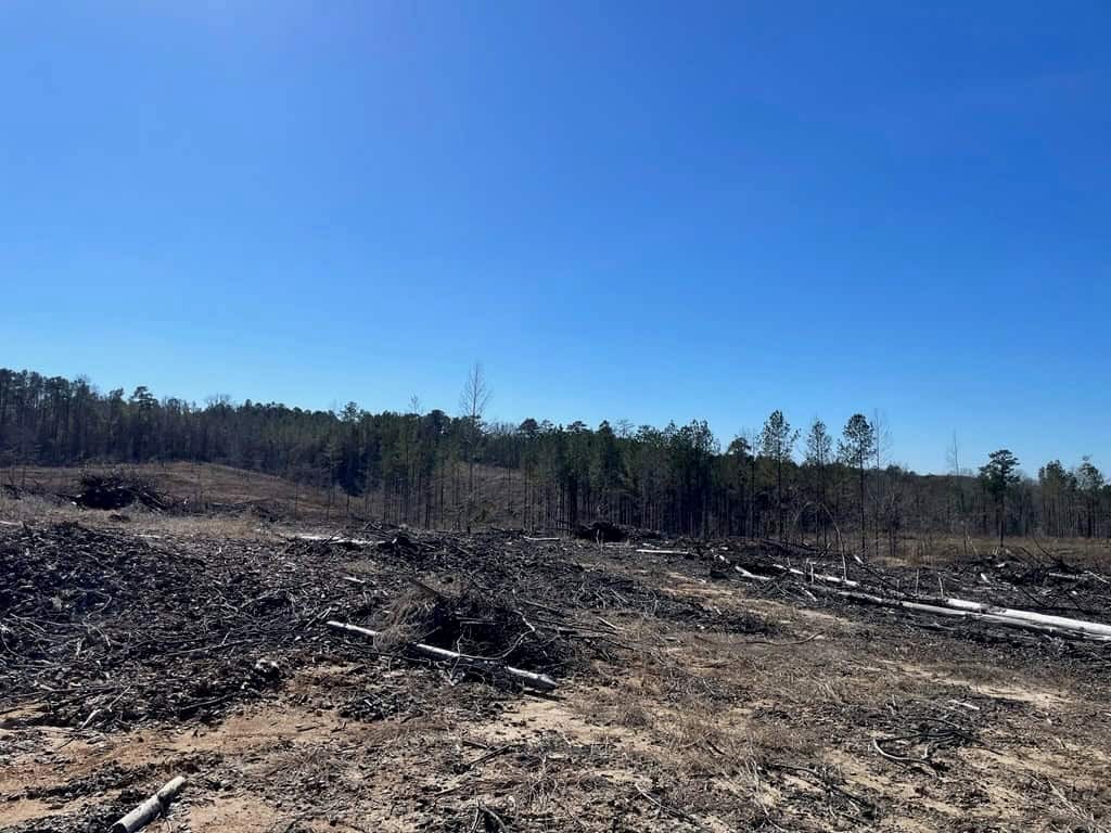 310 Acres Claiborne Hunting Property