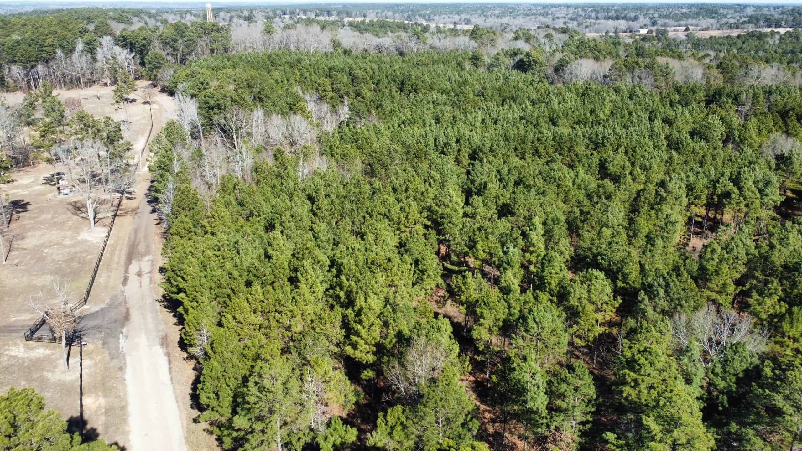 East TX Hunting Land Near Overton TX Rusk County