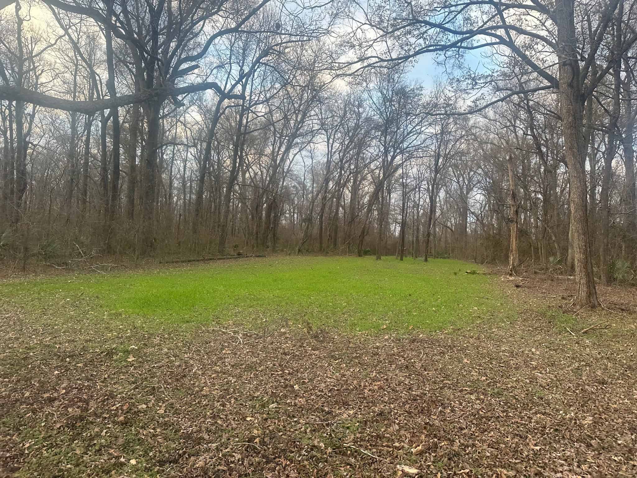LA Delta Duck and Deer Hunting Property with a Camp