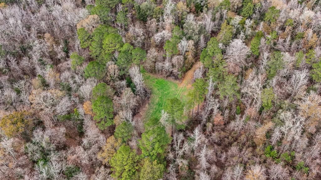 50 Acres TurnKey Hunting Camp SW Wilkinson County, MS