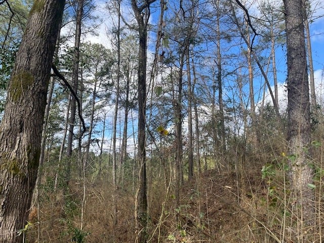 40 Acres For Sale Recreational Property & Hunting Property Copiah County Crystal Springs, Mississippi