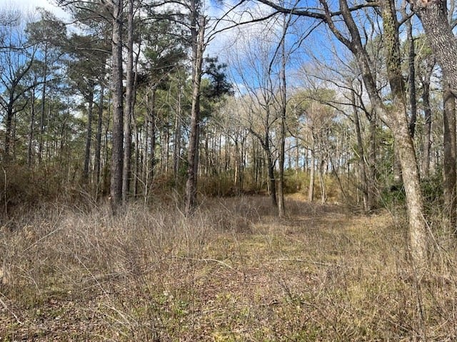 40 Acres For Sale Recreational Property & Hunting Property Copiah County Crystal Springs, Mississippi