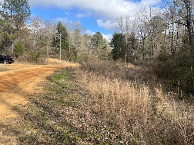 40 Acres For Sale Recreational Property & Hunting Property Copiah County Crystal Springs, Mississippi