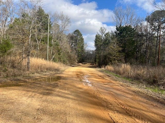 40 Acres For Sale Recreational Property & Hunting Property Copiah County Crystal Springs, Mississippi