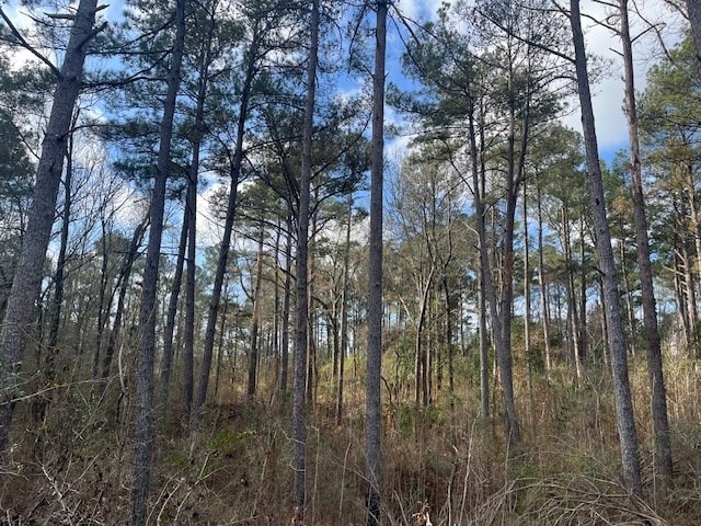 40 Acres For Sale Recreational Property & Hunting Property Copiah County Crystal Springs, Mississippi