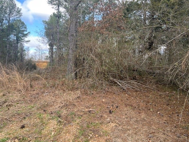 40 Acres For Sale Recreational Property & Hunting Property Copiah County Crystal Springs, Mississippi