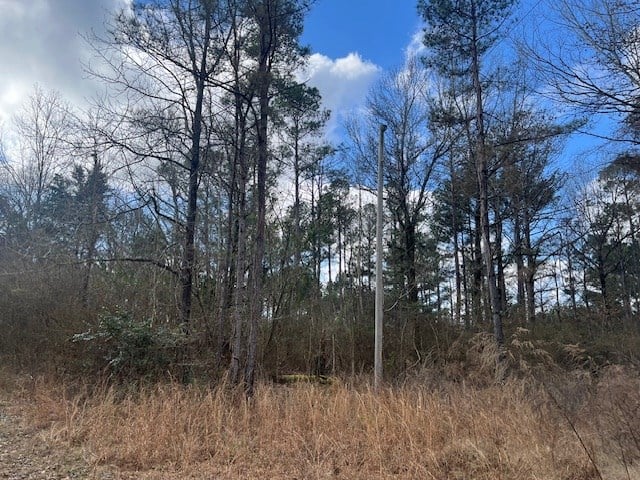 40 Acres For Sale Recreational Property & Hunting Property Copiah County Crystal Springs, Mississippi