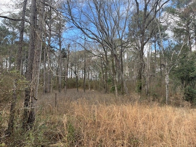 40 Acres For Sale Recreational Property & Hunting Property Copiah County Crystal Springs, Mississippi