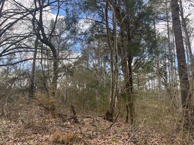 40 Acres For Sale Recreational Property & Hunting Property Copiah County Crystal Springs, Mississippi