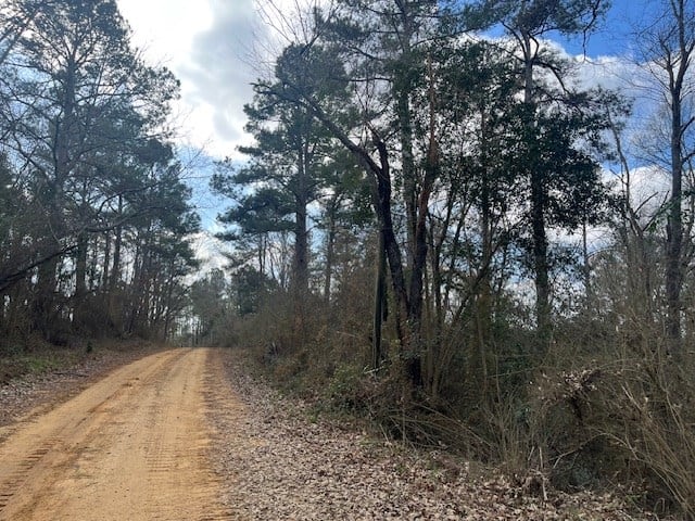 40 Acres For Sale Recreational Property & Hunting Property Copiah County Crystal Springs, Mississippi