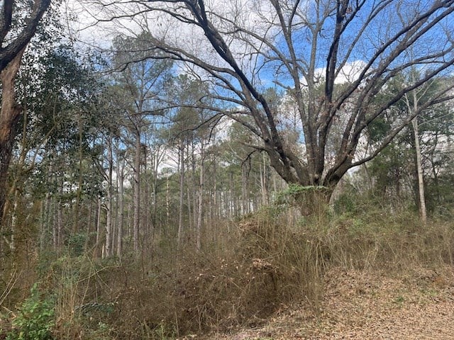 40 Acres For Sale Recreational Property & Hunting Property Copiah County Crystal Springs, Mississippi