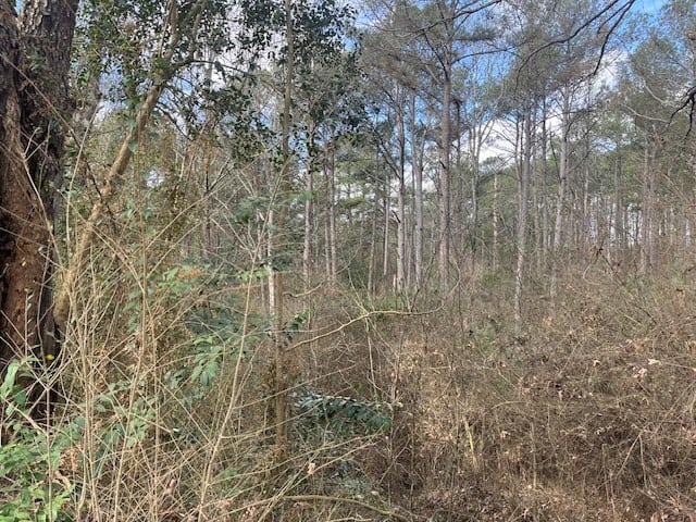 40 Acres For Sale Recreational Property & Hunting Property Copiah County Crystal Springs, Mississippi
