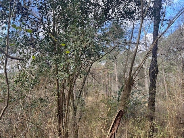 40 Acres For Sale Recreational Property & Hunting Property Copiah County Crystal Springs, Mississippi