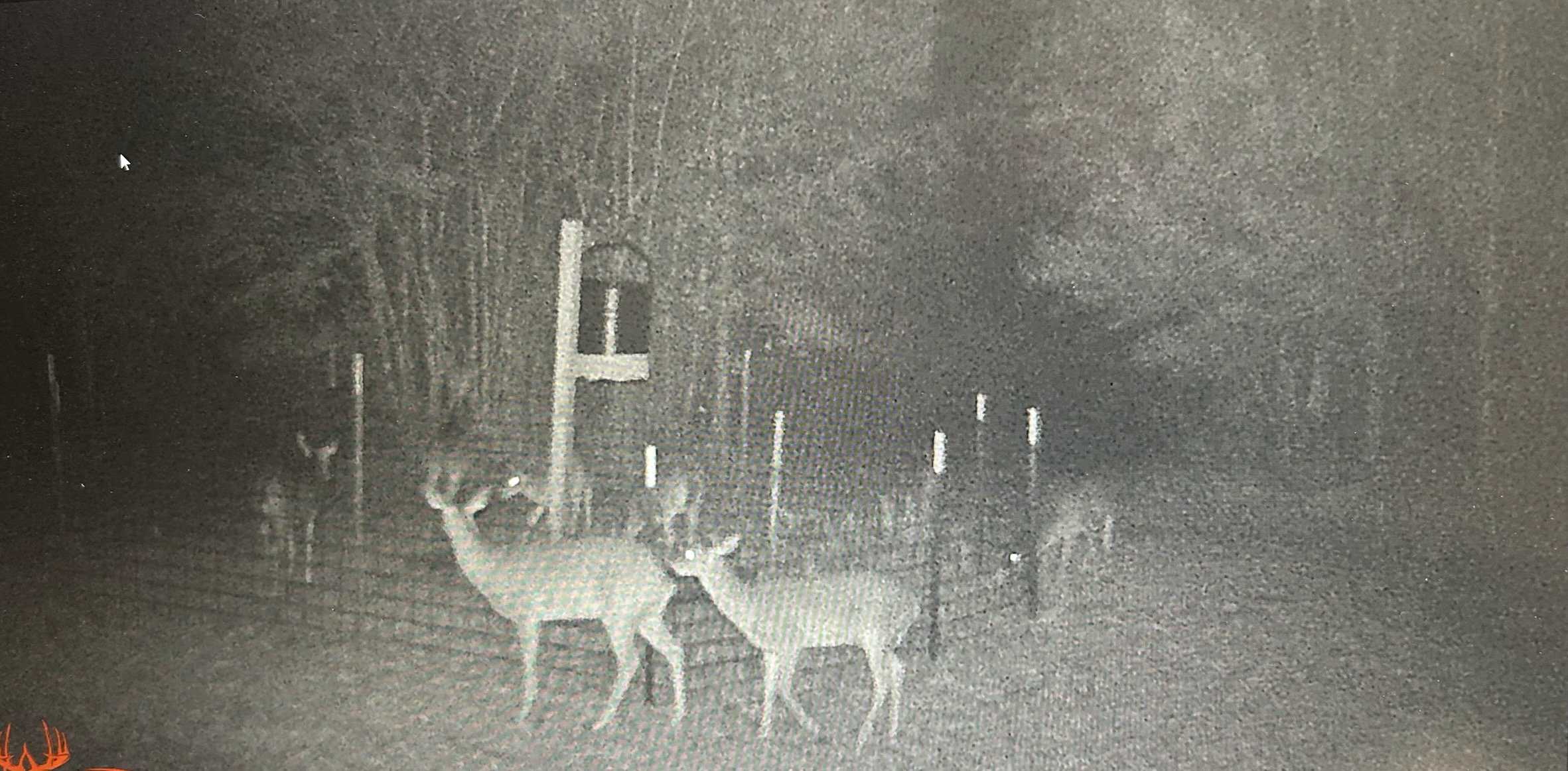 Hunting Property with a Camp and a Great Homesite