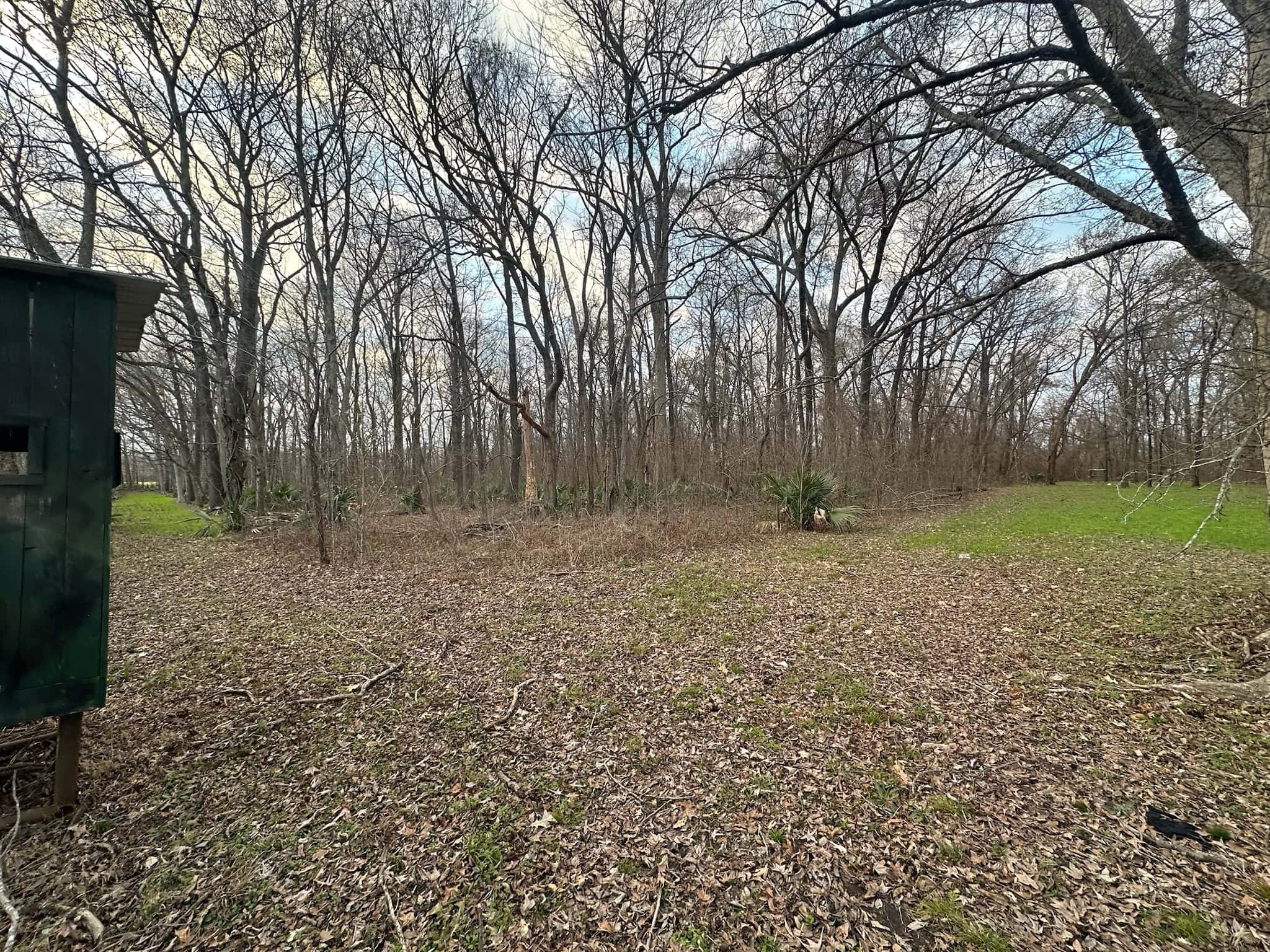 LA Delta Duck and Deer Hunting Property with a Camp