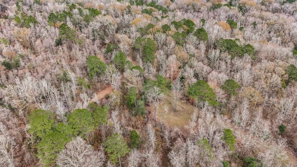 50 Acres TurnKey Hunting Camp SW Wilkinson County, MS