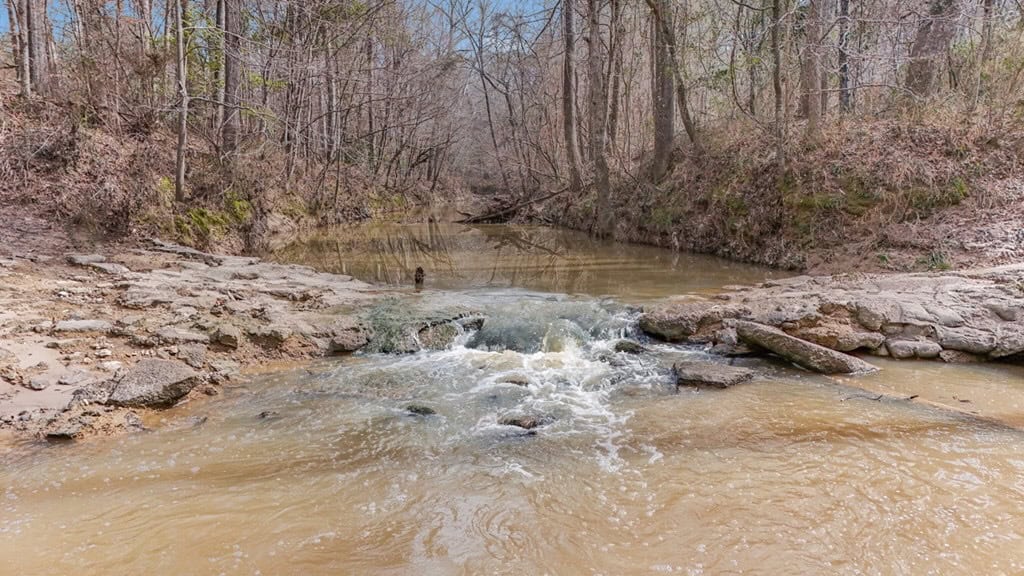 70 Acres Hunting Land Bordering Homochitto National Forest
