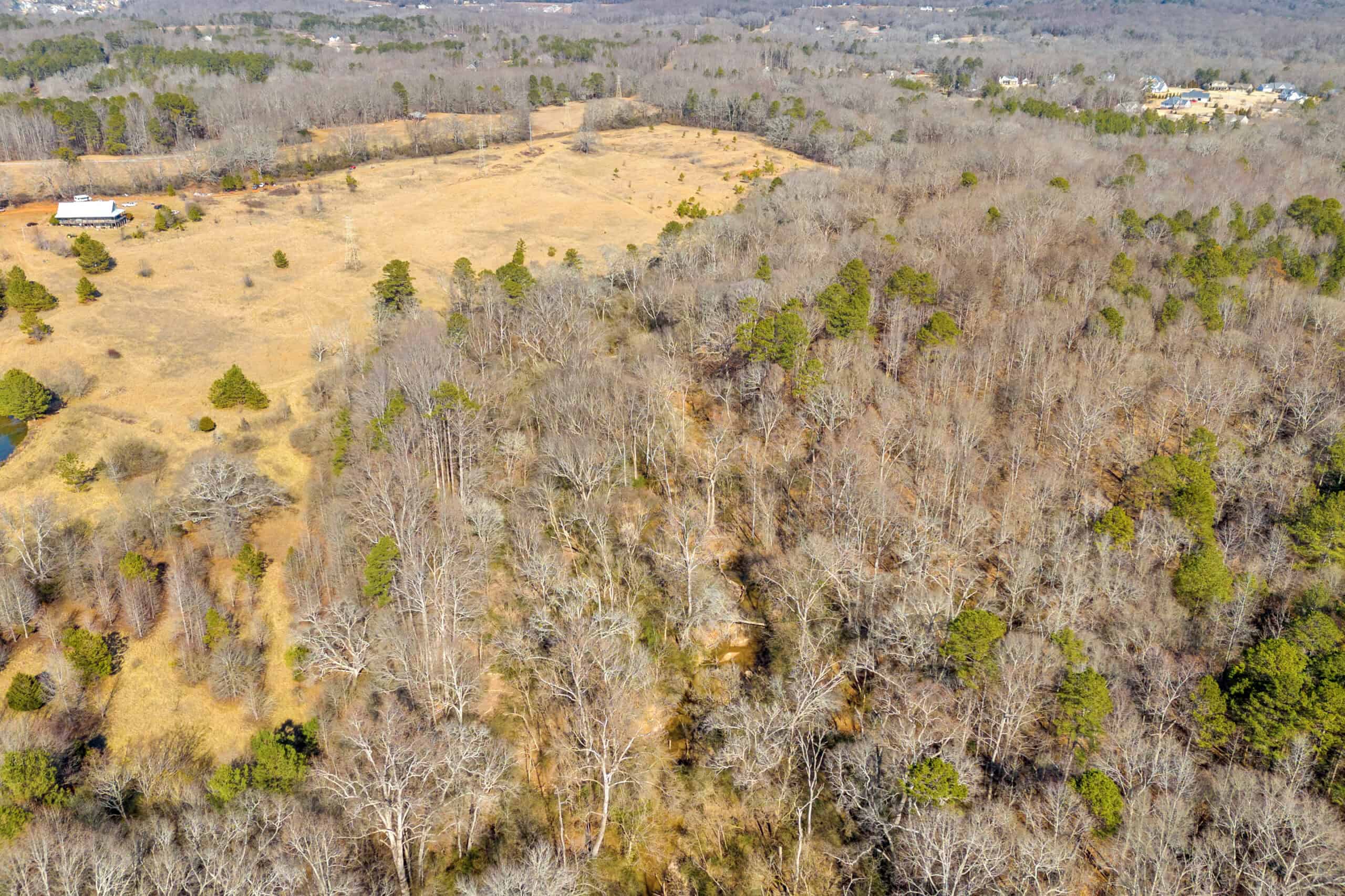 49+/- Acres of Beautiful Pasture with Two Ponds, Barn, and Creek Frontage.