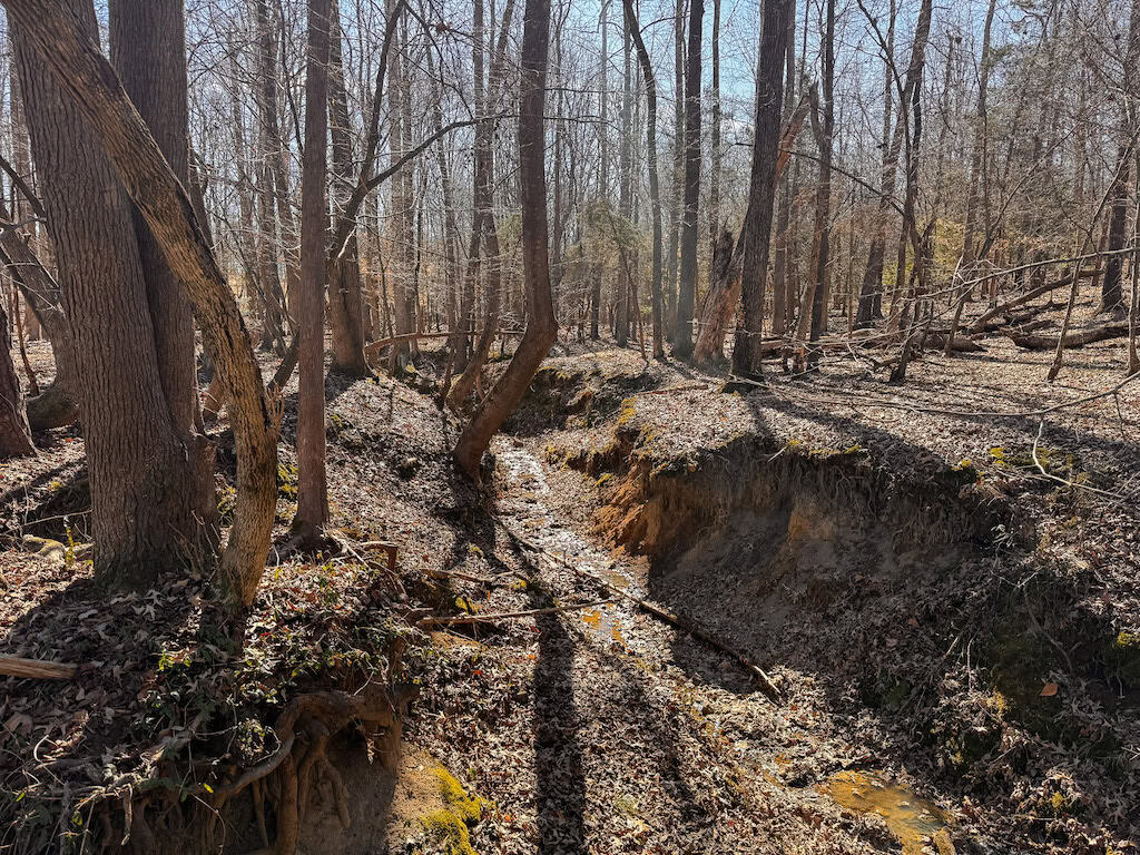 Country Home and Farmland for Sale in Jetersville, VA