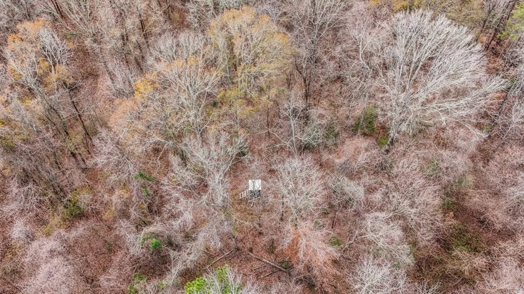 50 Acres TurnKey Hunting Camp SW Wilkinson County, MS
