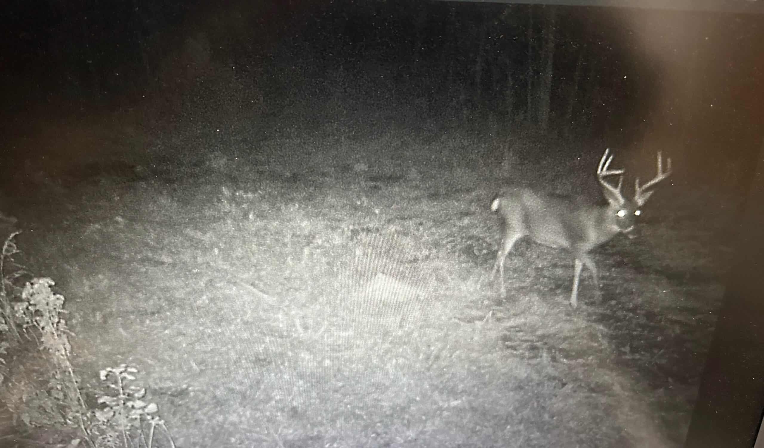 Hunting Property with a Camp and a Great Homesite