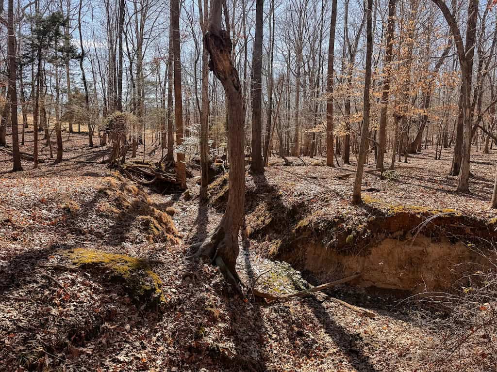 Country Home and Farmland for Sale in Jetersville, VA