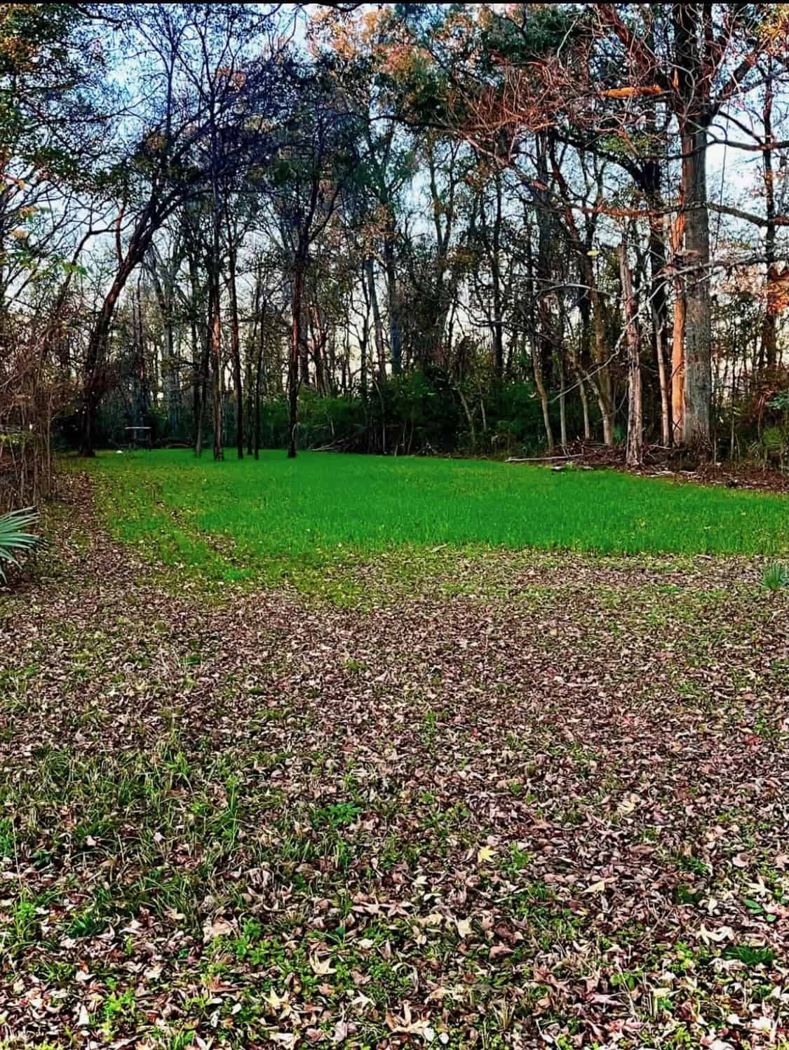 LA Delta Duck and Deer Hunting Property with a Camp