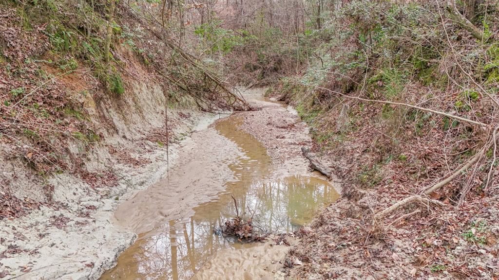 50 Acres TurnKey Hunting Camp SW Wilkinson County, MS