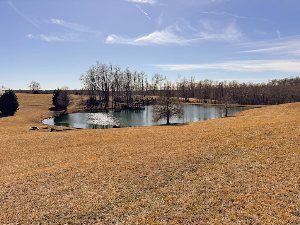 Country Home and Farmland for Sale in Jetersville, VA