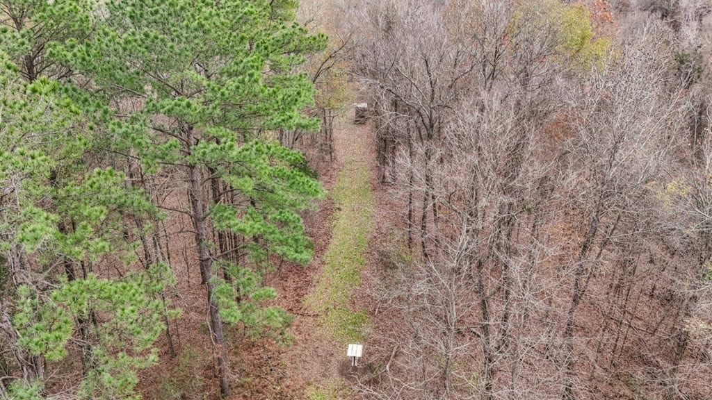 50 Acres TurnKey Hunting Camp SW Wilkinson County, MS