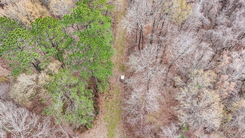 50 Acres TurnKey Hunting Camp SW Wilkinson County, MS