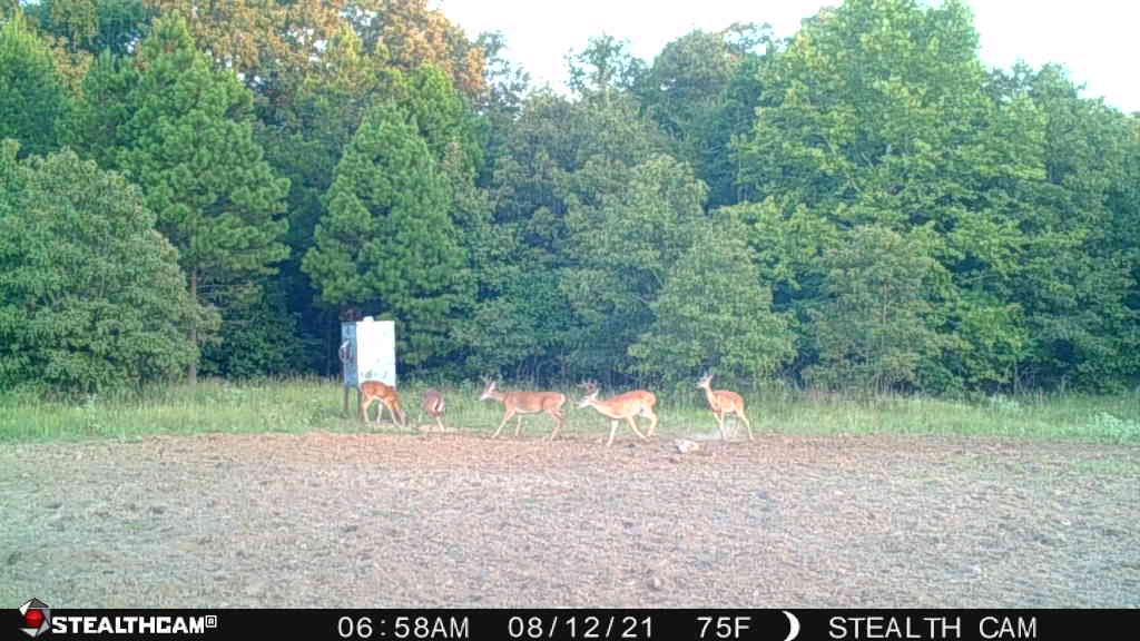 20-Acre Hunter’s Paradise in Southeastern Oklahoma-Prime location & Utilities Ready