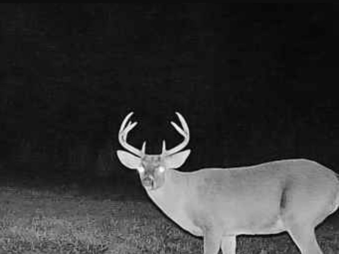 LA Delta Duck and Deer Hunting Property with a Camp