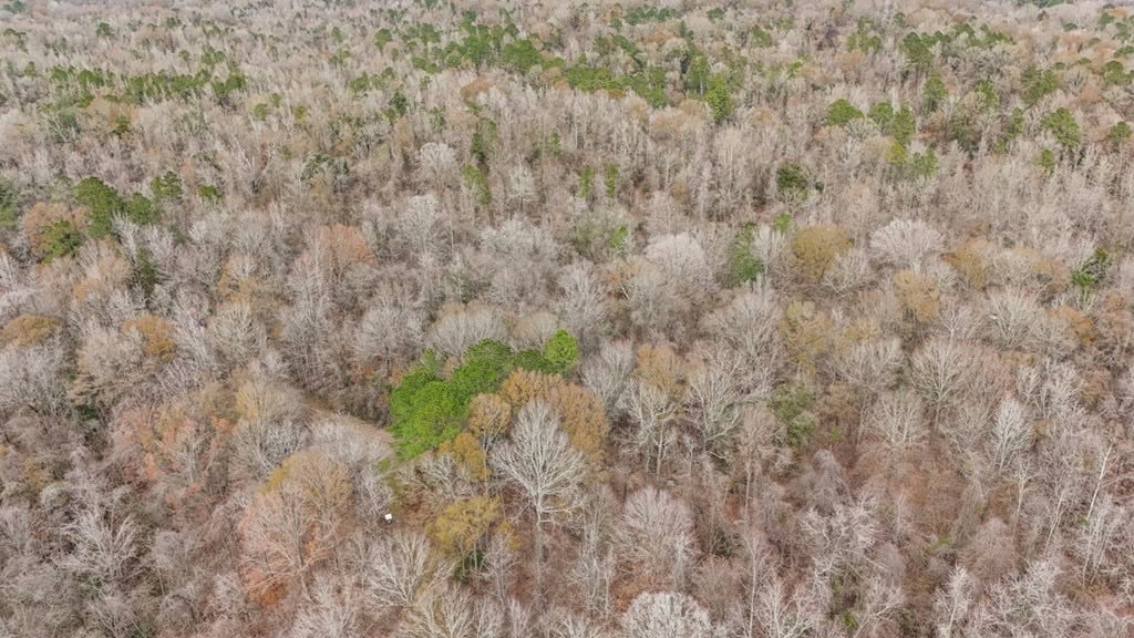 50 Acres TurnKey Hunting Camp SW Wilkinson County, MS