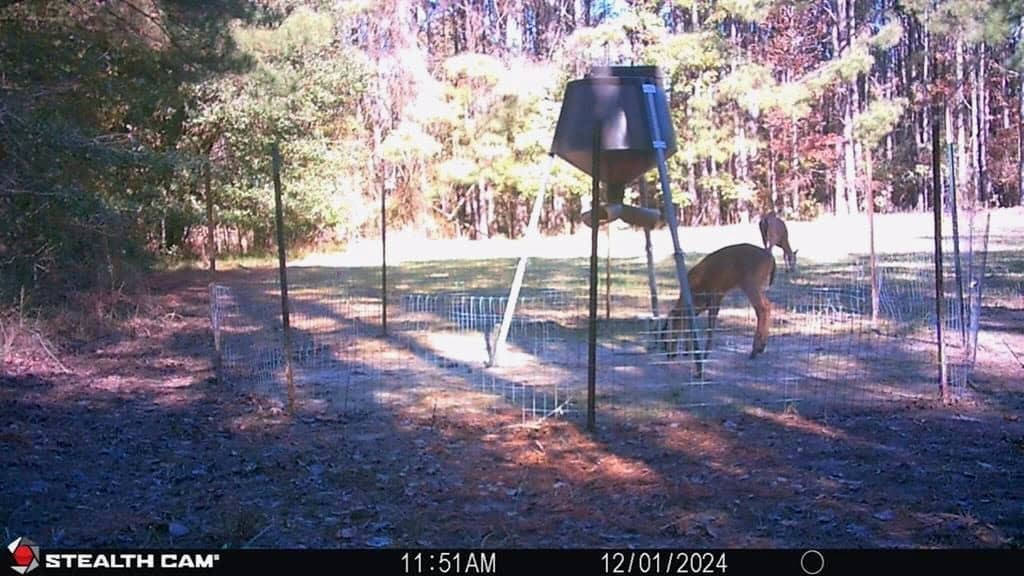 70 Acres Hunting Land Bordering Homochitto National Forest