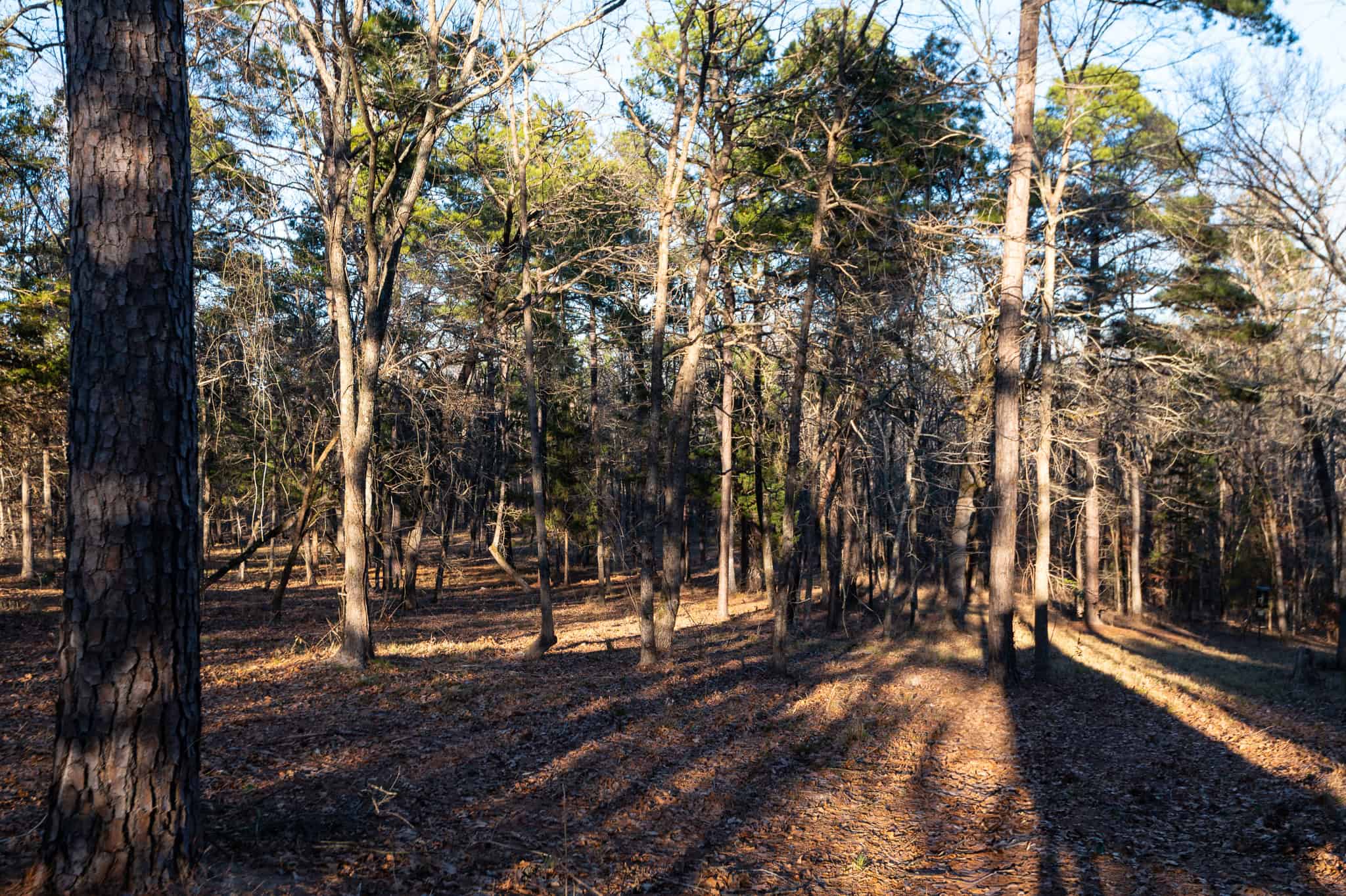 East Texas Hunting Land for sale Sabine River Frontage Gladewater TX