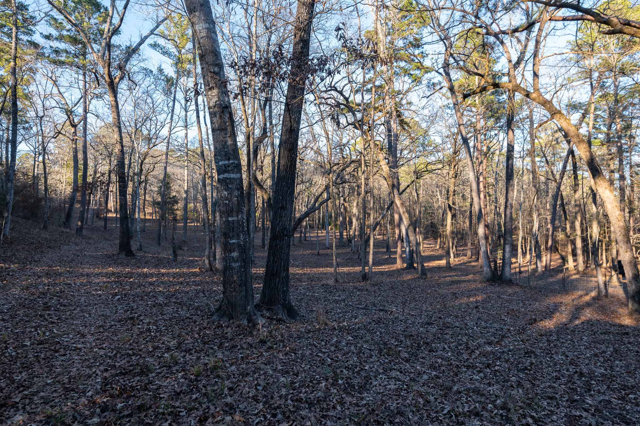 East Texas Hunting Land for sale Sabine River Frontage Gladewater TX