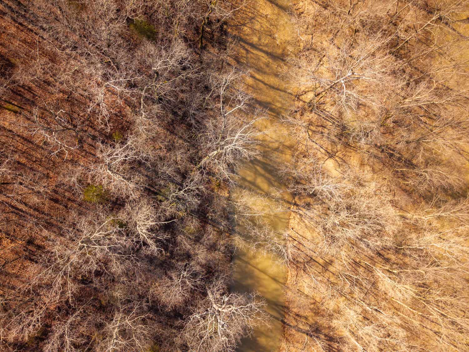 Farm for Sale in the Missouri AND Arkansas Ozarks