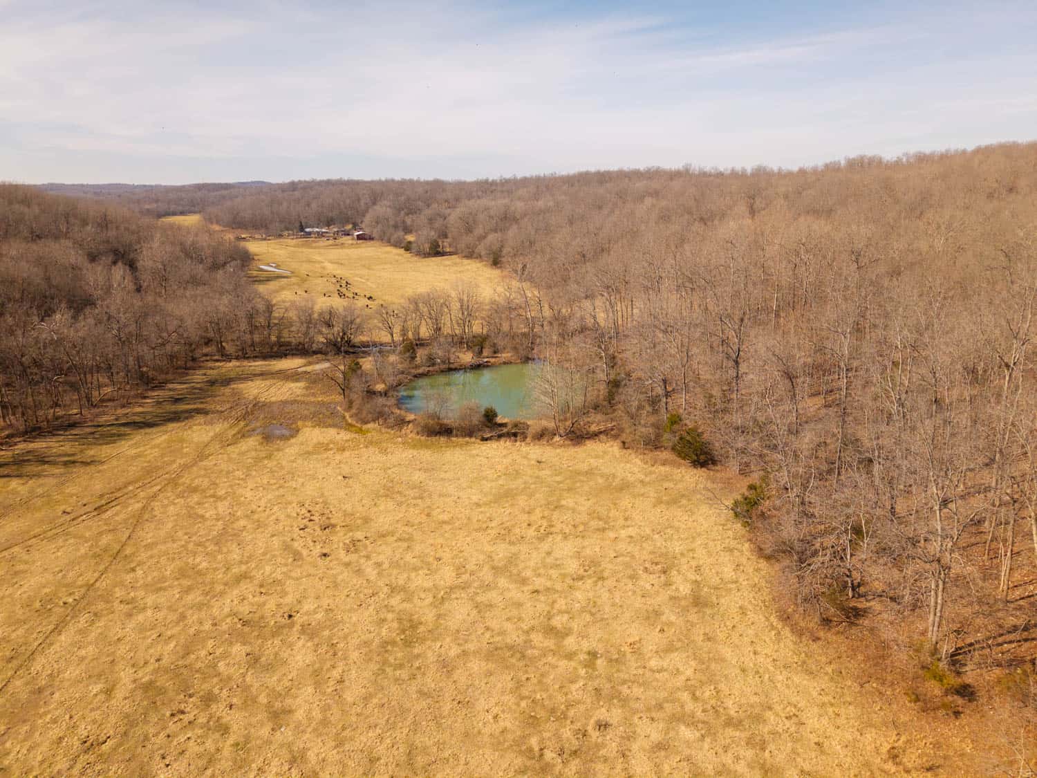 Farm for Sale in the Missouri AND Arkansas Ozarks