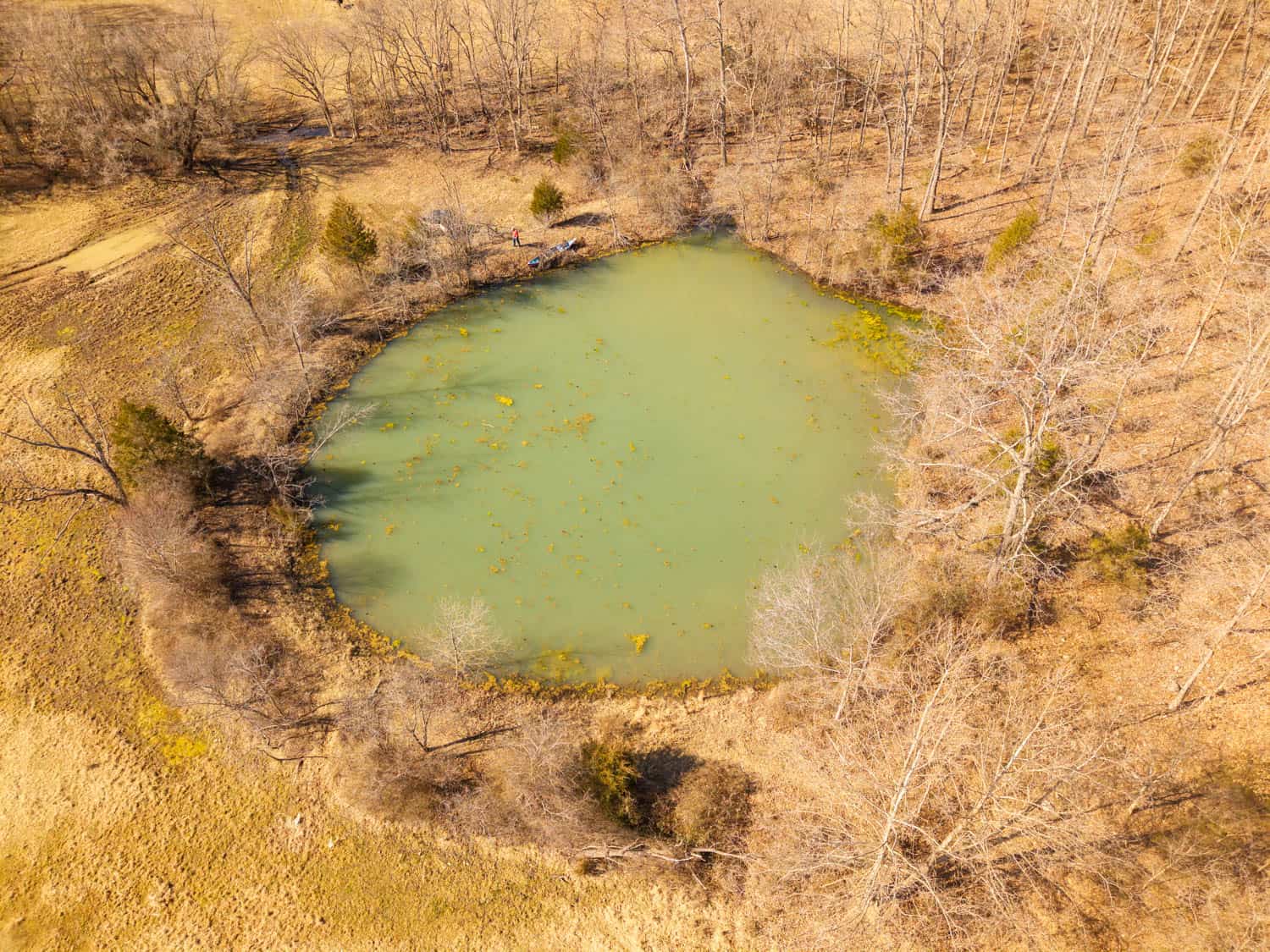 Farm for Sale in the Missouri AND Arkansas Ozarks