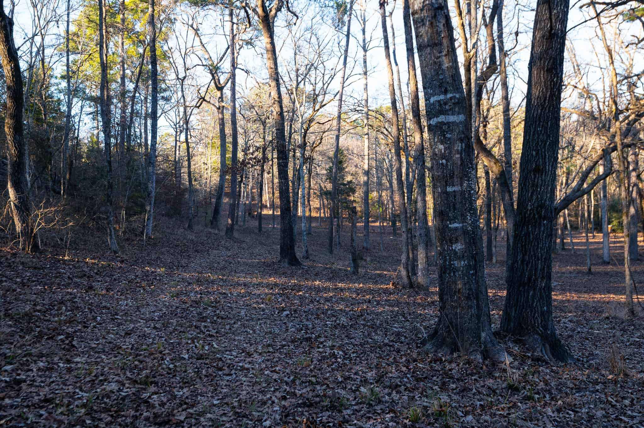 East Texas Hunting Land for sale Sabine River Frontage Gladewater TX