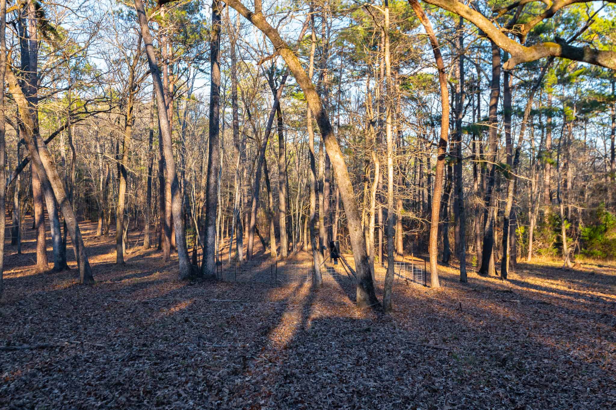 East Texas Hunting Land for sale Sabine River Frontage Gladewater TX